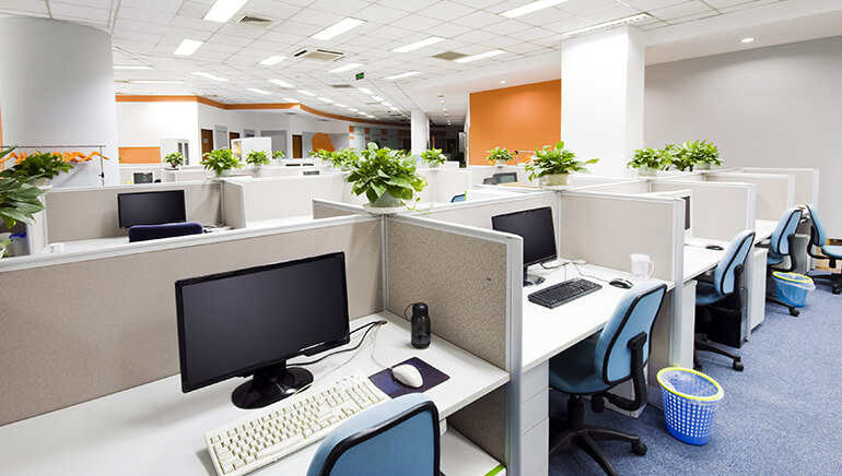 ولد موقع ثابت لجميع مضادات الأكسدة الهامة